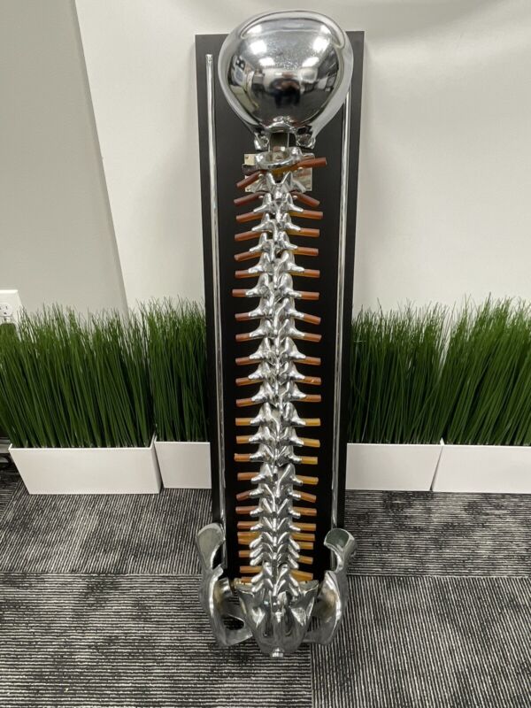 chiropractic fleets spinal demonstrator 
