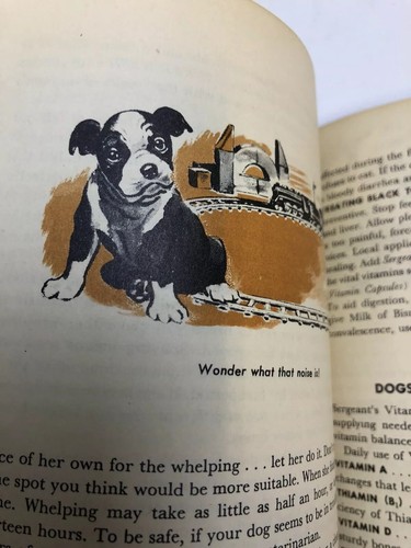 SERGEANT'S DOG BOOK 1950 GUIDE BOOK