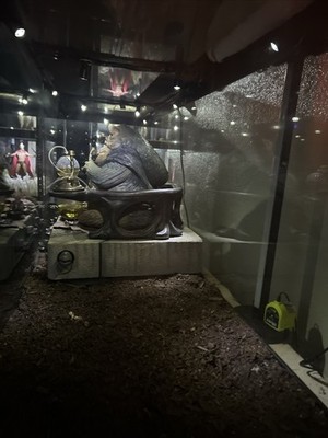 Artikelfoto(s) von einem verifizierten Käufer