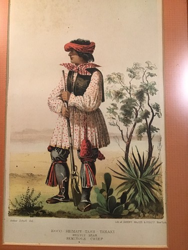 Native American Indian Apache Lipan Warrior Seminole Chf Sarony lithograph print