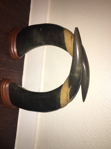 Taxidermy Asian Water Buffalo Horn Mounted Art Decorative Man Cave Bookend Pair