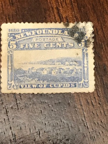 Newfoundland stamp 1910