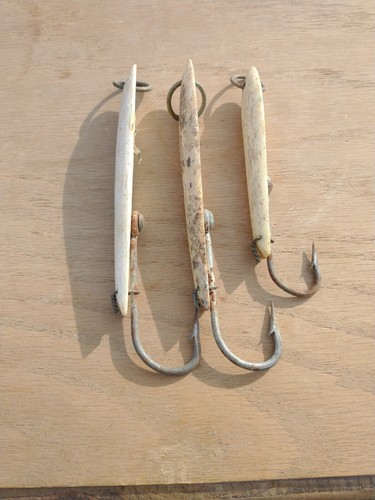 $_12.JPG?set_id=880000500F