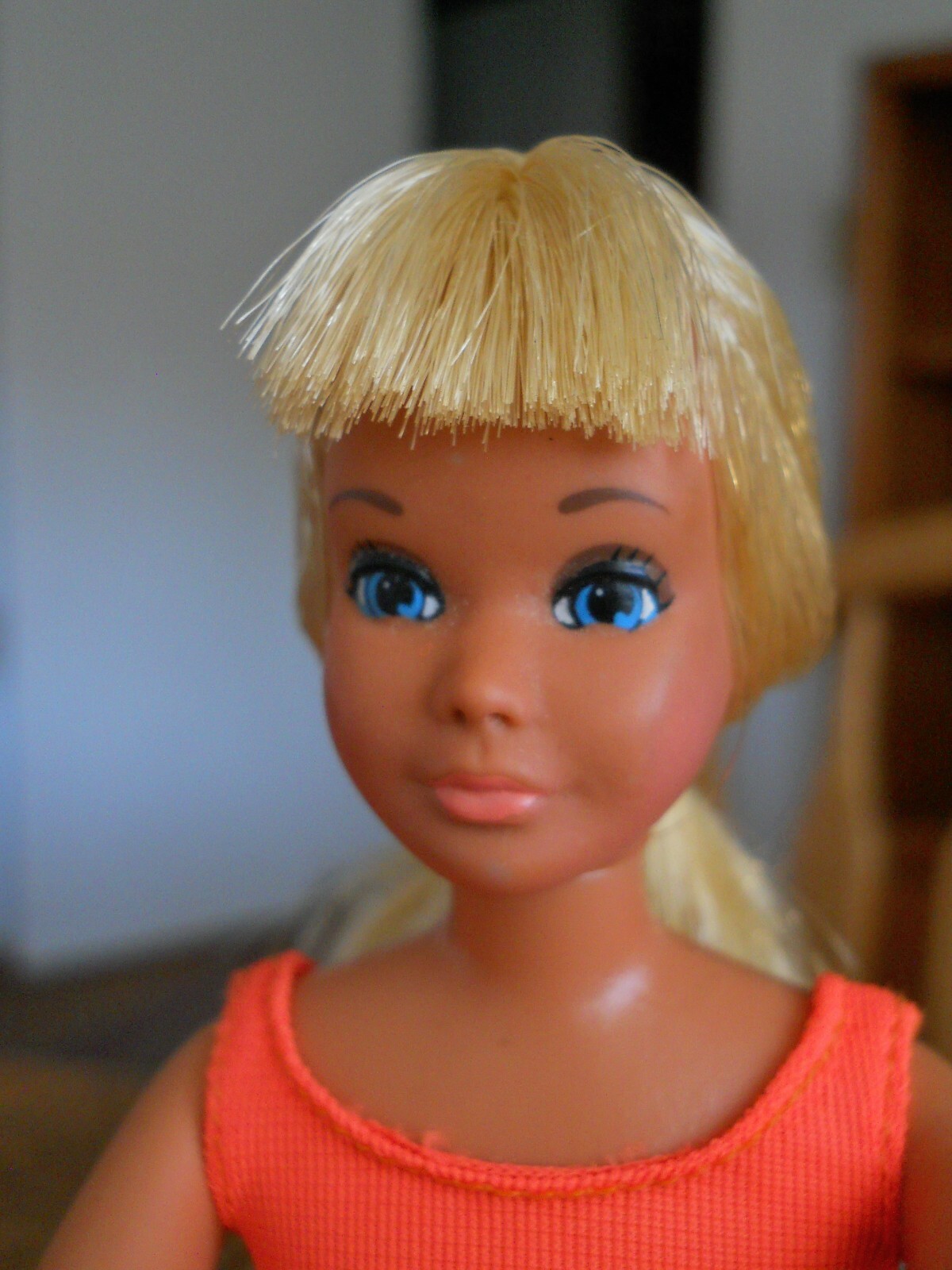 malibu skipper doll