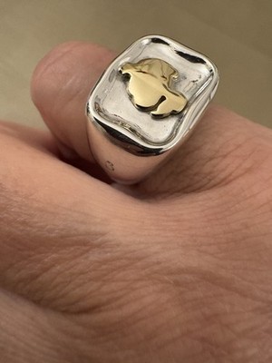 Foto dell'oggetto di un acquirente verificato