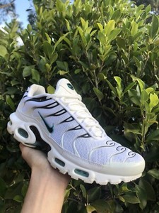 dusty cactus tn