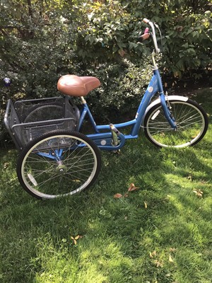 trek adult tricycle