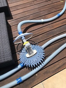 zodiac creepy crawly