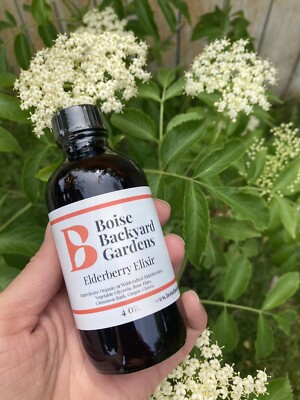 Elderberry Elixir - 4oz. Glycerin base