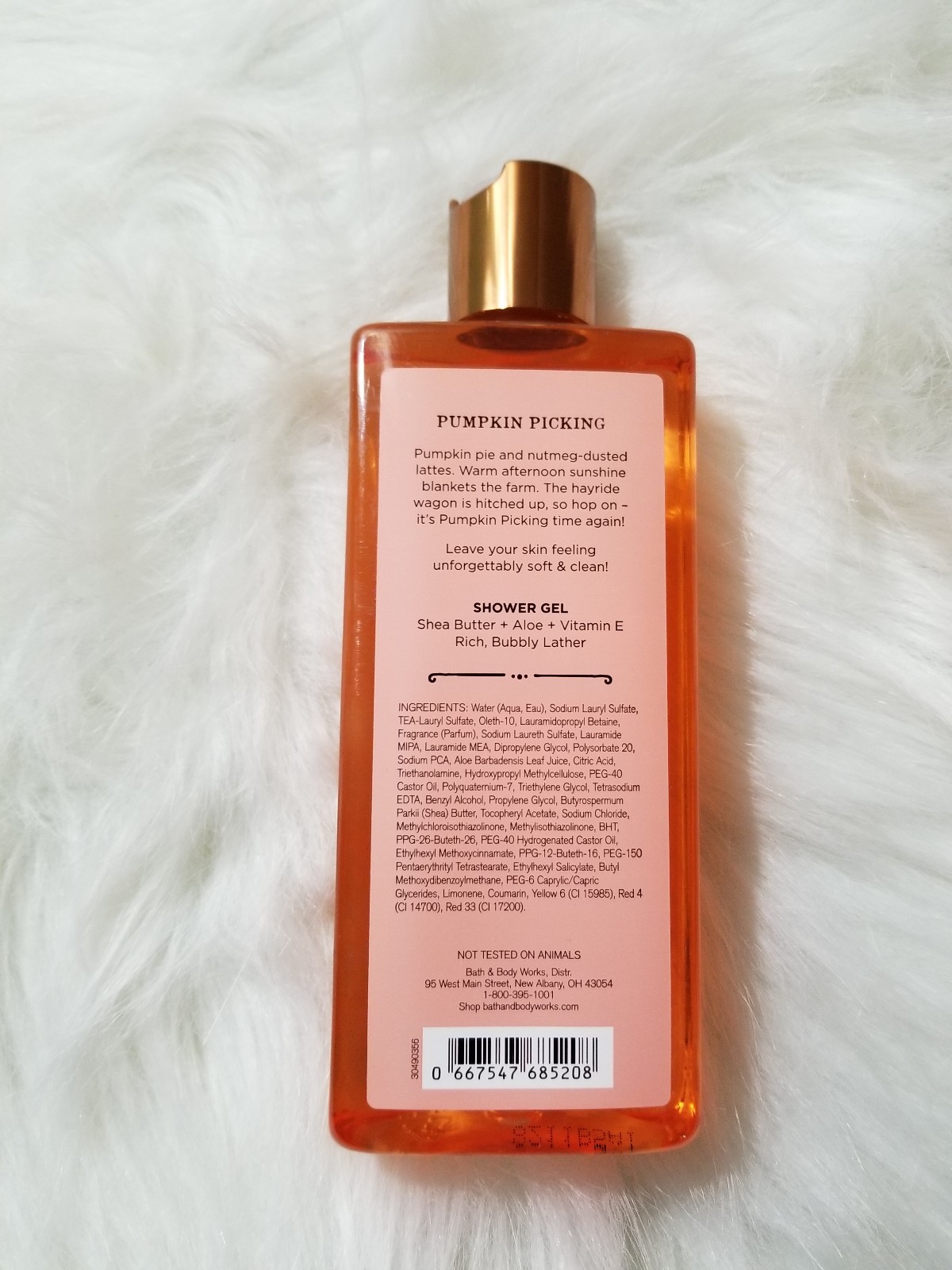 NEW! PUMPKIN PICKING and MARSHAMLLOW PUMPKIN LATTE Set of 5