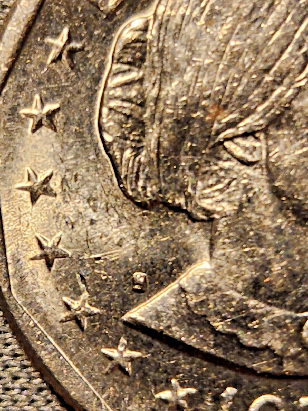 Susan‼️ Susan Graver Novelty Knit Scoop Neck Top with 3/4 Sleeves