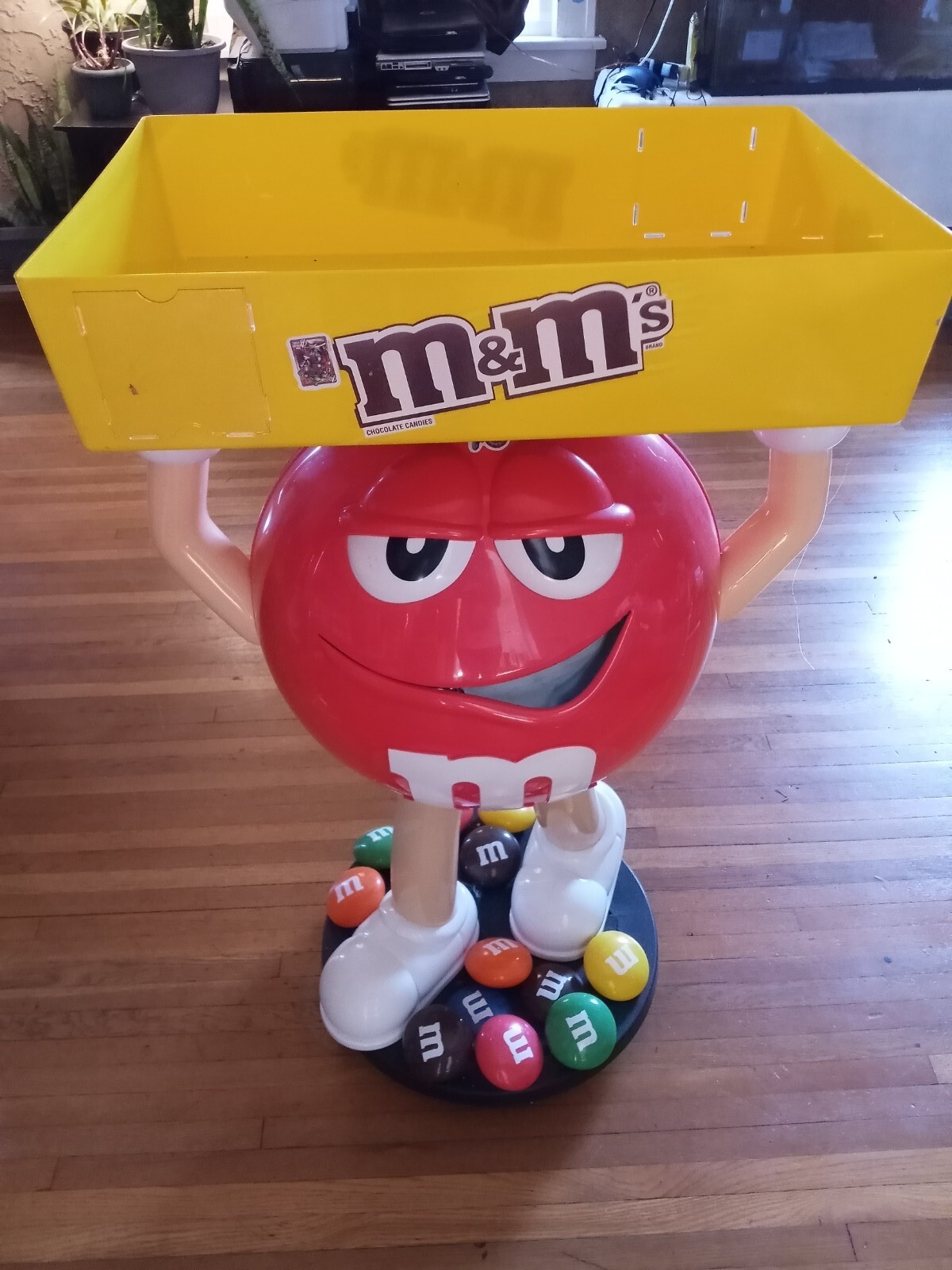 m&m's ディスプレイ $_32.JPG?set_id=880000500F