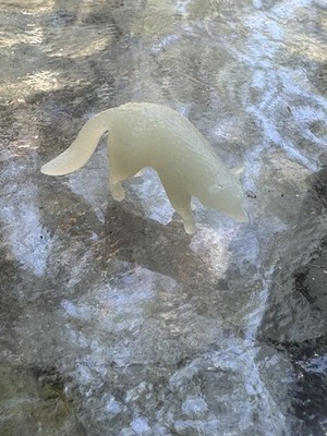 Artikelfoto(s) von einem verifizierten Käufer