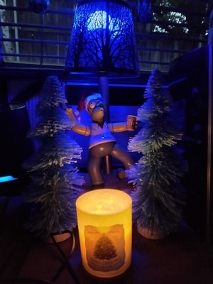 Fotos del artículo de un comprador verificado