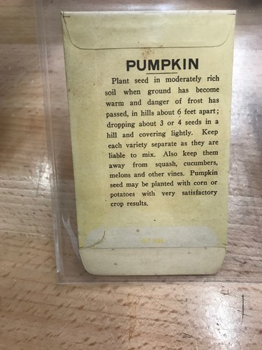 ANTIQUE 1918 PUMPKIN SEED PACKET / ROUDABUSH SEED STORE, N.C.