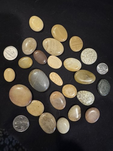 Polished Ocean Rocks Found West Coast Oregon. Jaspers, Agate, Chalcedon Lot