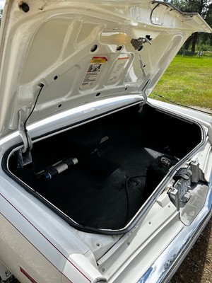 image 5 of interior