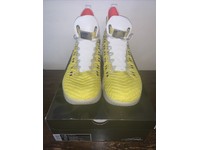 lebron xvi harlem stage