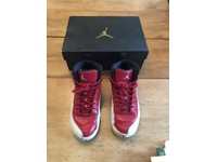 jordan team pro