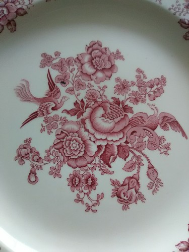 Crown Ducal BRISTOL PINK Square Chop Plate #762055 Gorgeous