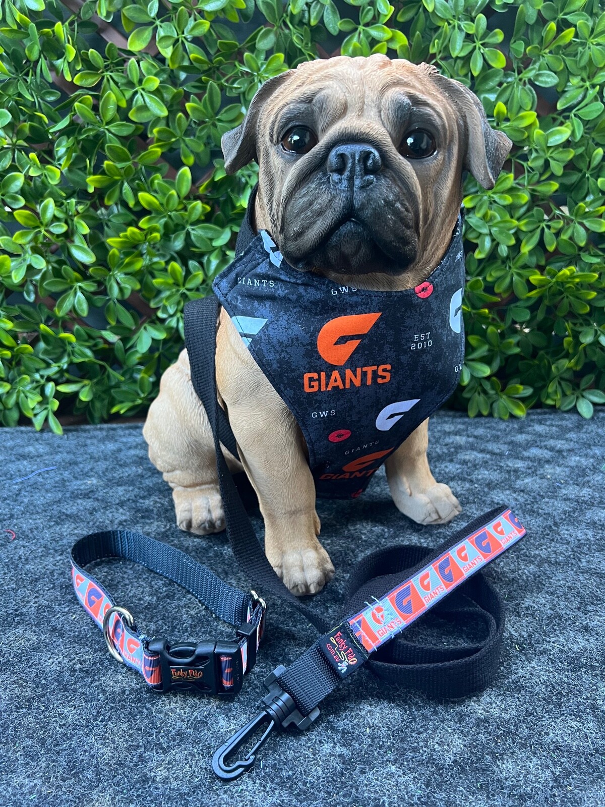 Funky dog leads online