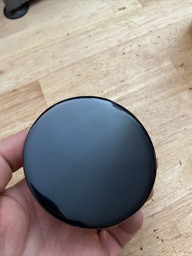 Snake Skeleton Paperweight 1/2 LBS Reptile Collector TAXIDERMIST UNIQUE GIFT