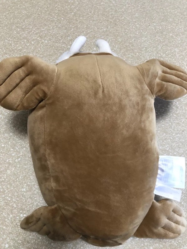 mochipuni walrus