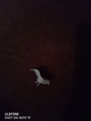 Objectfoto('s) van geverifieerde koper