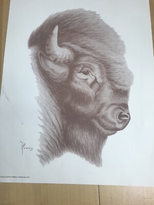 Antique lithograph BISON Exotic Animal Paradise Missouri Signed P Harvey 11x16