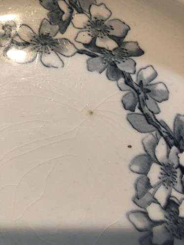 antique victorian George Jones And Sons Plate Peach Blow Pattern 1840 9”D Blue