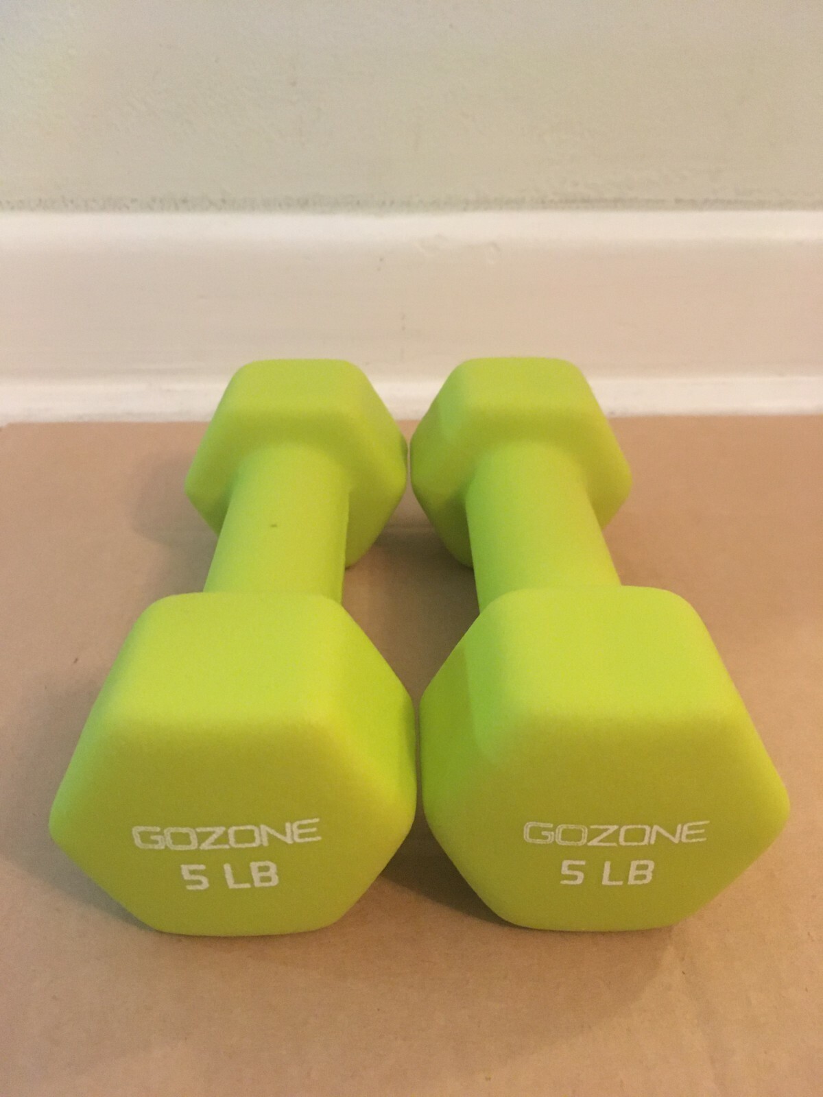 GoZone 5lb Neoprene Hex Dumbbell Pair eBay