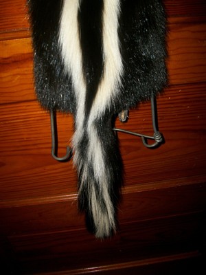 BEAUTIFUL tanned SKUNK 4 FEET CLAWS FUR PELT TAXIDERMY mount NO SMELL S2 CABIN