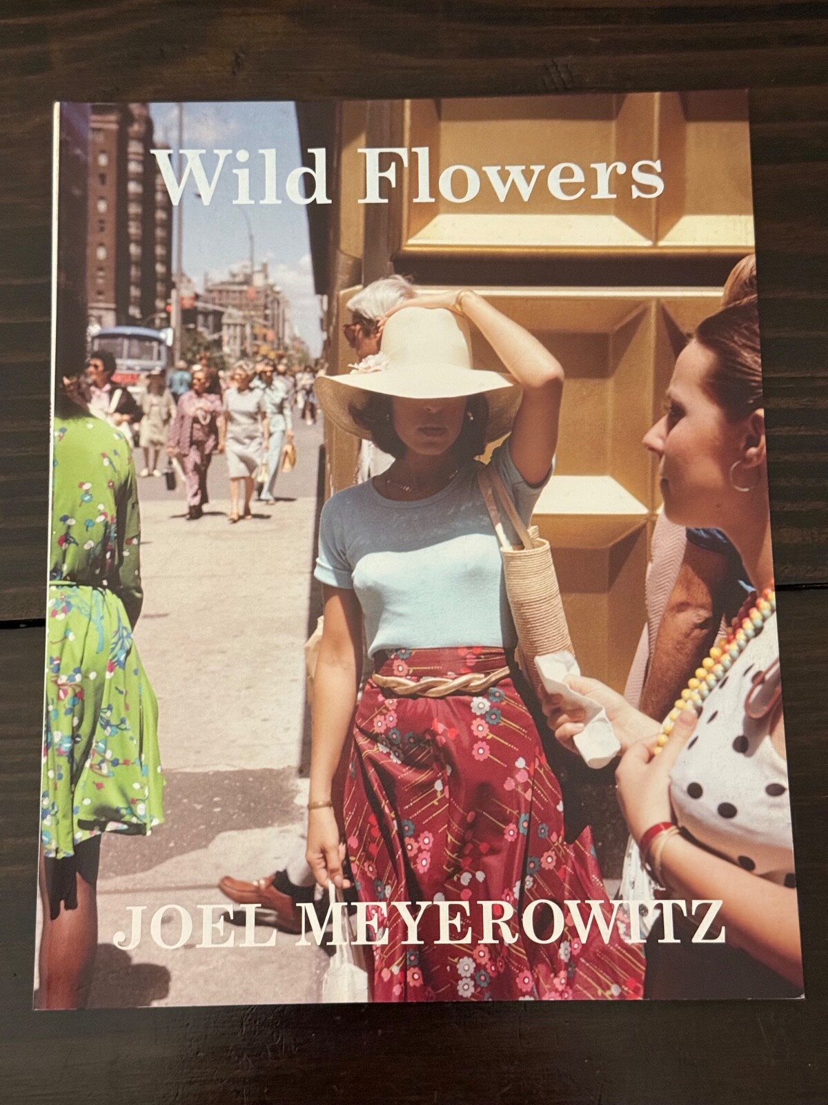 【テラ妹子】Wild Flowers Joel Meyerowitz 81k5qexq1tL._UF1000,1000_QL80_.jpg