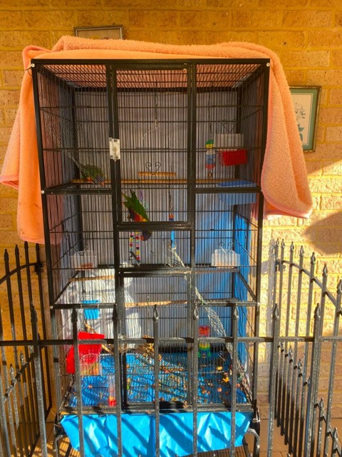 lorikeet cage