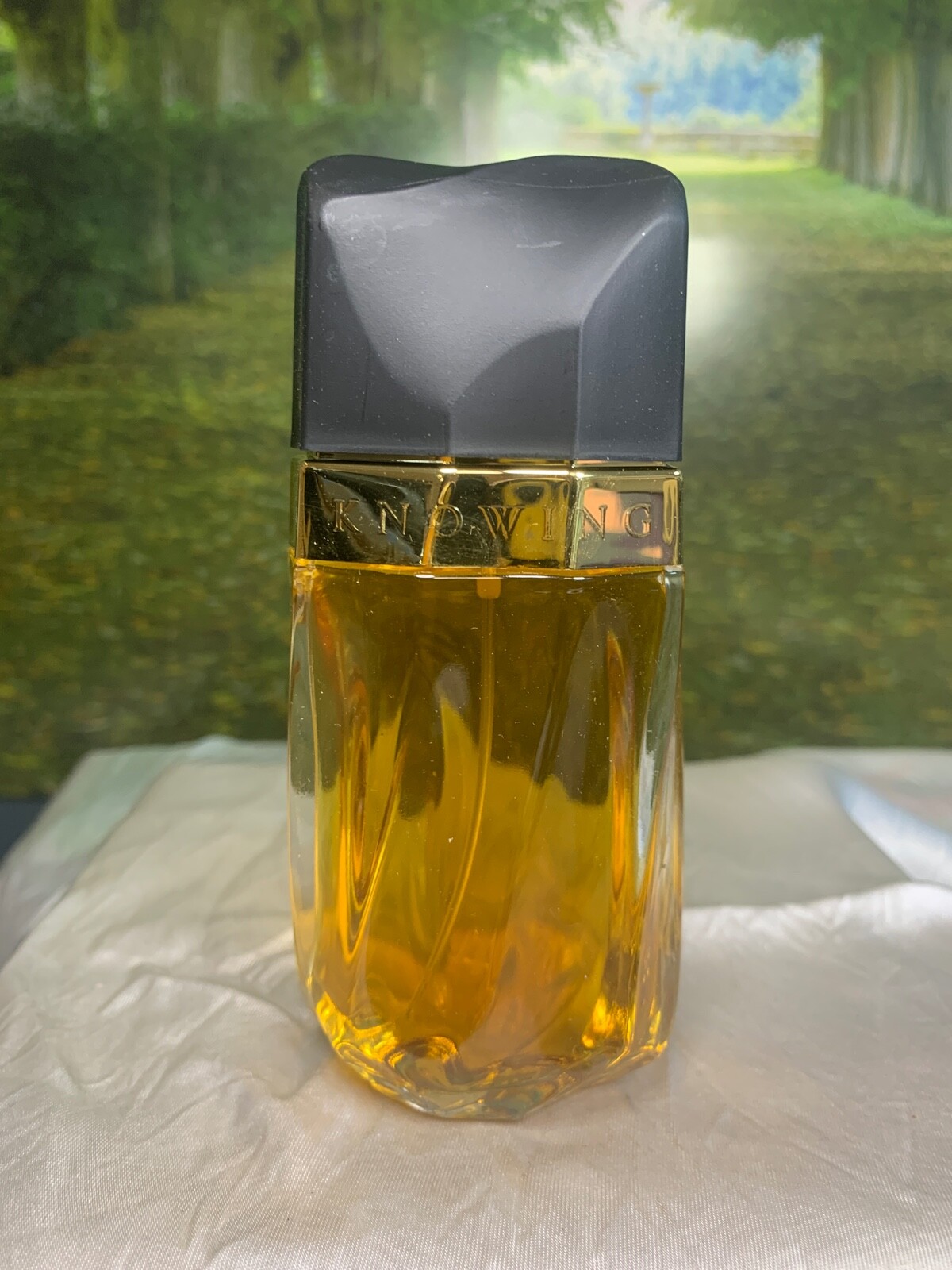 ESTEE LAUDER KNOWING 75ML EDP SPRAY (NEW) | eBay