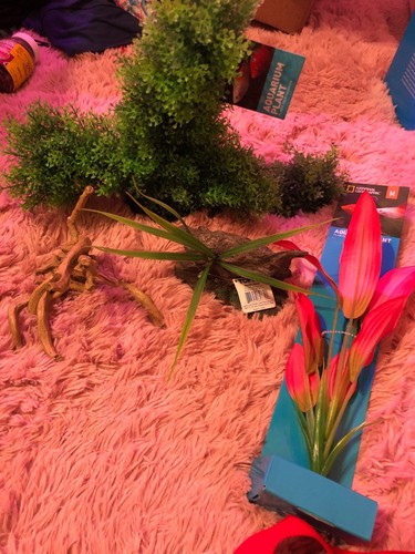 Aquarium decorations bundle. Driftwood Branch & Plants. 4 Items. Brand New