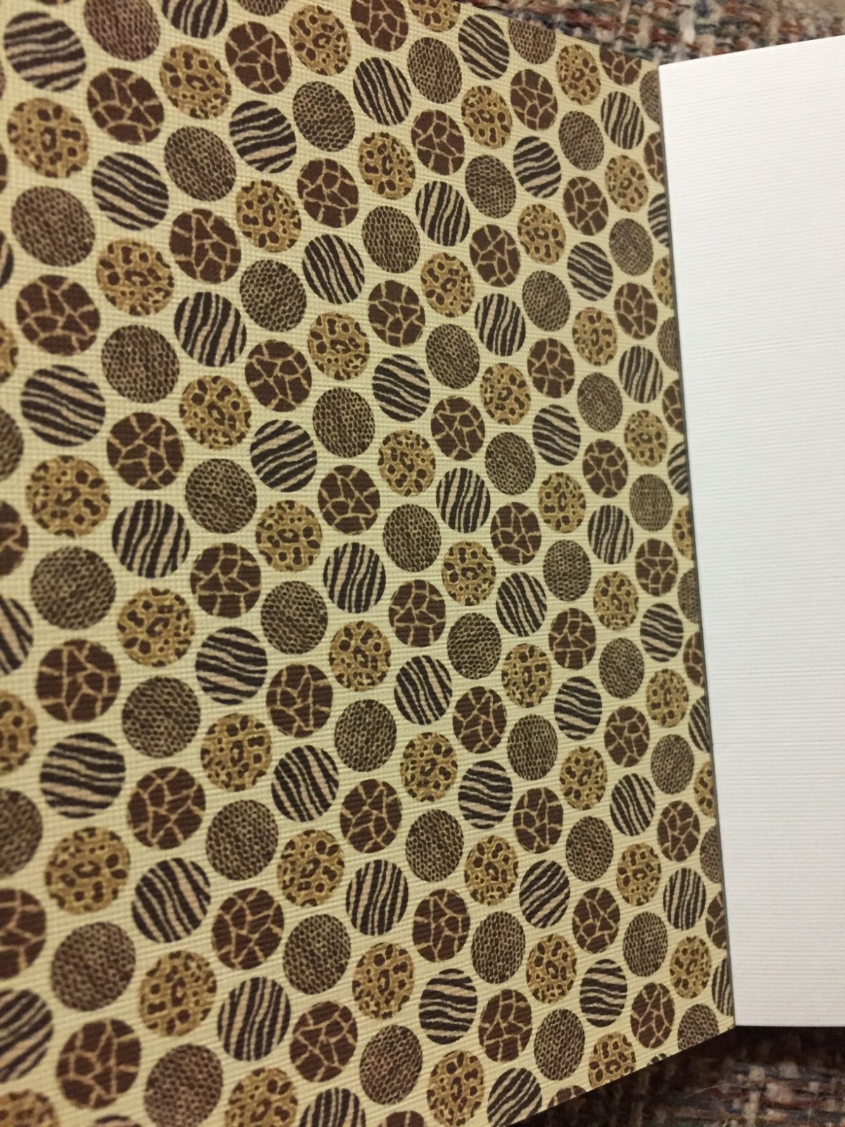 (2) Cardstock Paper Packs Pre-Owned (Safari Chic and Birthday Extravaganza)