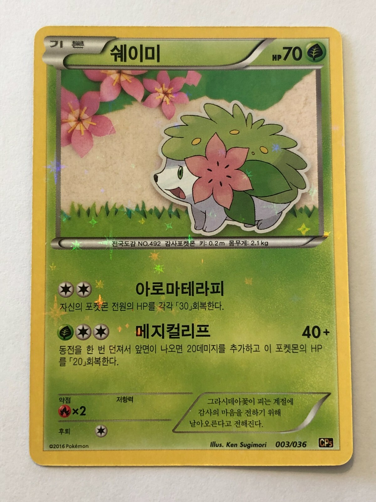 ★PSA10★【シェイミ/CP5/初版】2016 SHAYMIN 003/036 Shaymin Pokemon 2016 Holo CP5 Dream Shine Collection 1st ED