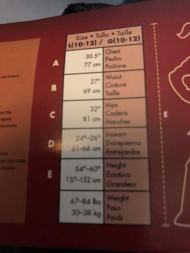 Disney Violet Incredibles 2 Costume Size Large (10-12) NEW