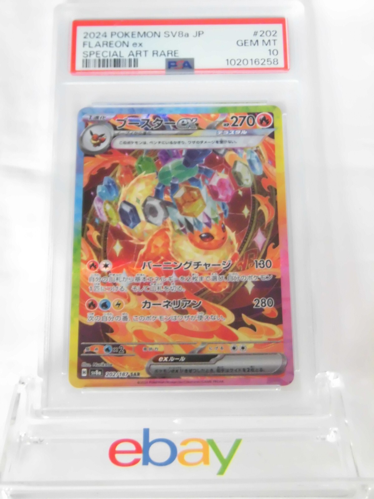 PSA 10 Pokemon Card Flareon ex SAR 202/187 sv8a Terastal
