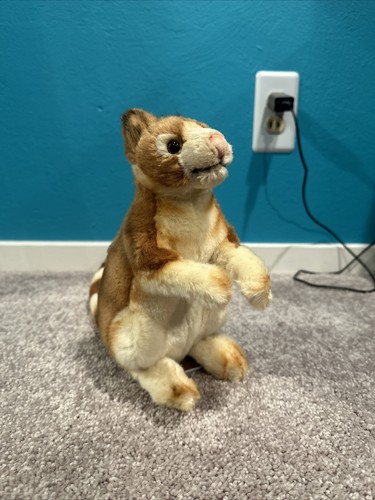 Photos de l'objet d'un acheteur vérifié