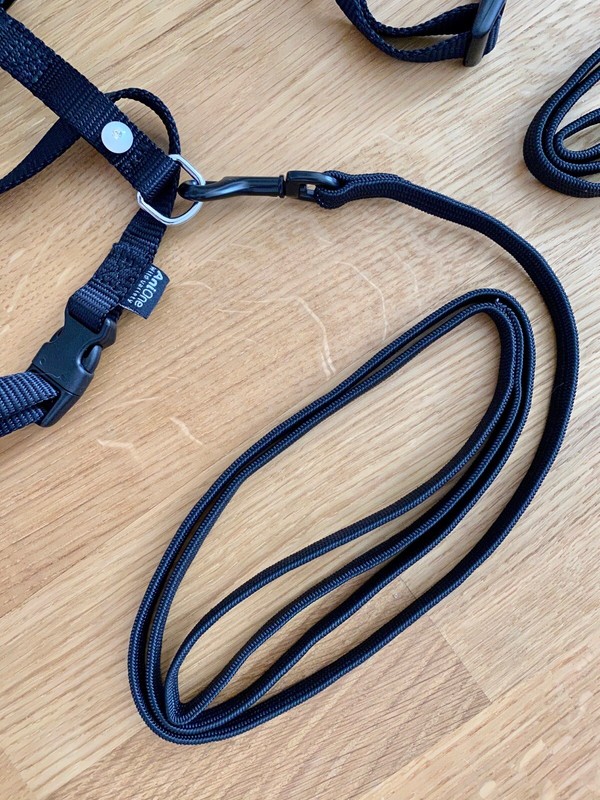 2 X Stabiles Nylon H Geschirr für Katze / Hund Travel Anione