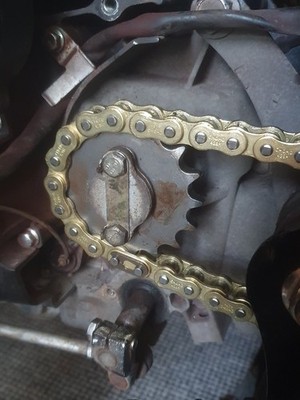 Artikelfoto(s) von einem verifizierten Käufer