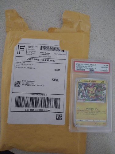 PSA 10 Gem Mint Mischievous Pichu 214/S-P Graniph Purchase