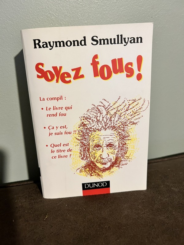 Livre Soyez Fous ! De Raymond Smullyan Dunod 2007