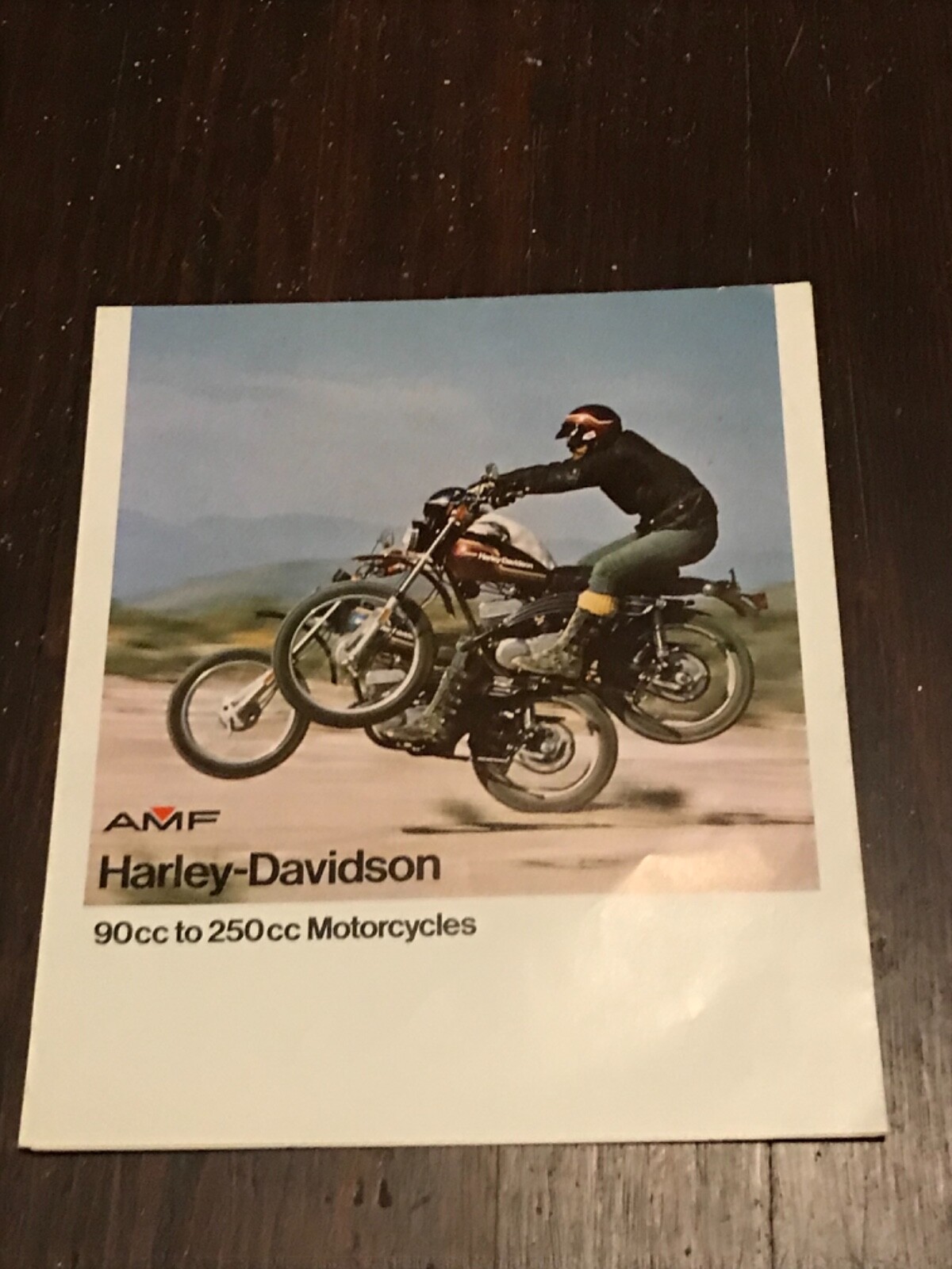 1975 Harley-Davidson 90CC to 250cc Sales Brochure SX250