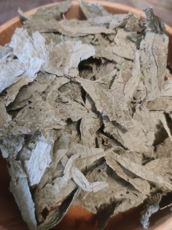 Salvia Divinorum 10gr Dried Leaves Incense