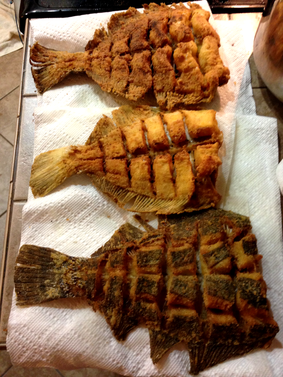 Dexter Russell 8" Narrow Fishing Hunting Kitchen Fillet Knife..31609 / P94813