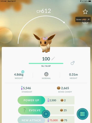 100 IV Flower Pikachu Pokemon Go