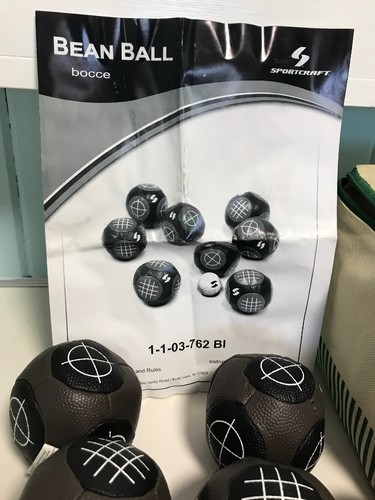 Bean Ball Bocce Ball Set Indoor Outdoor 9 Balls Instruction Case Sportcraft Game
